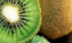 Kiwi Hayward